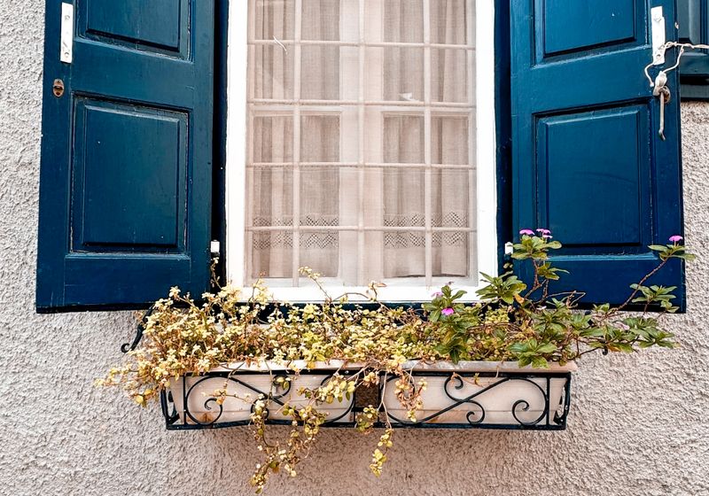 Garden window with a flower box on a Columbus home